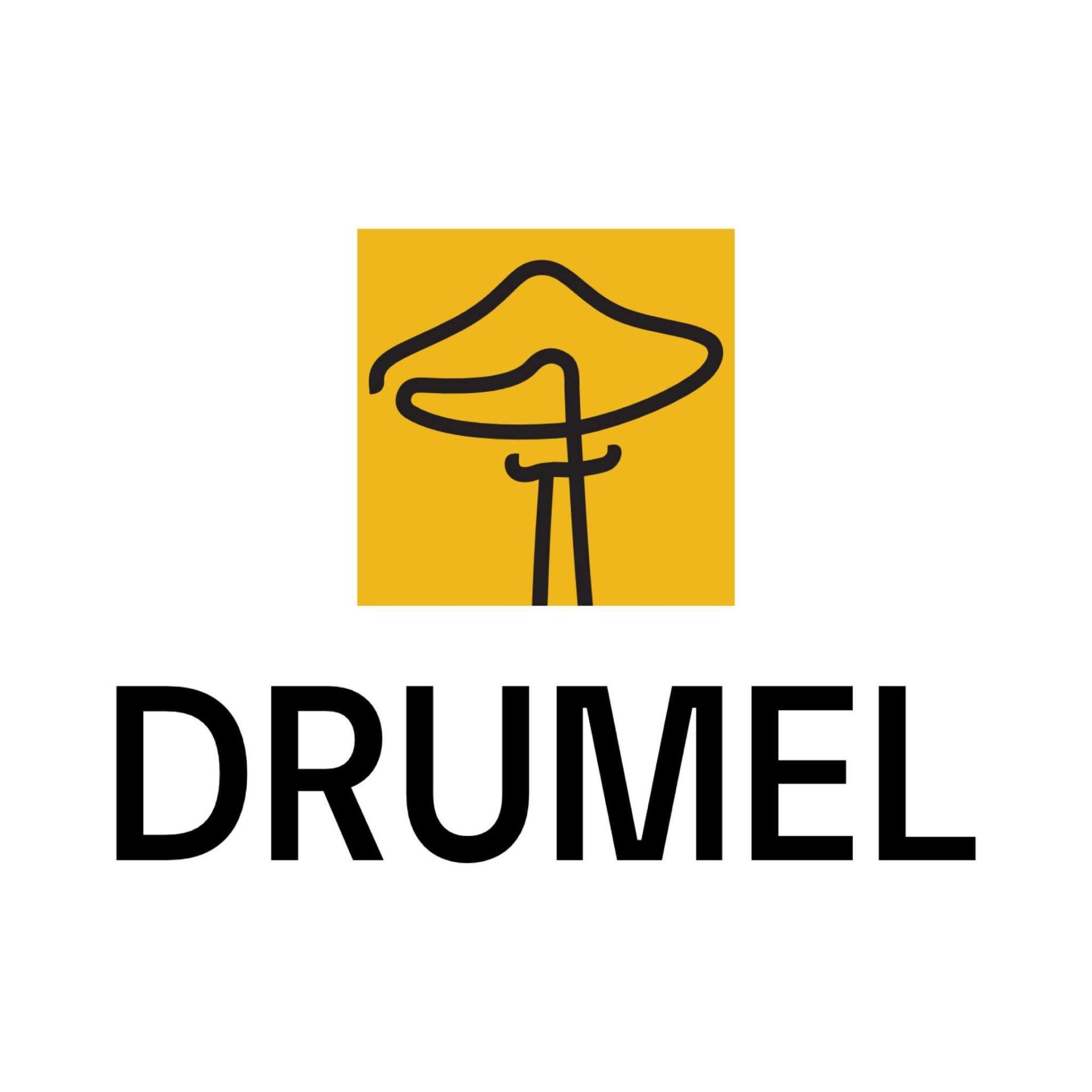 Logo Drumel